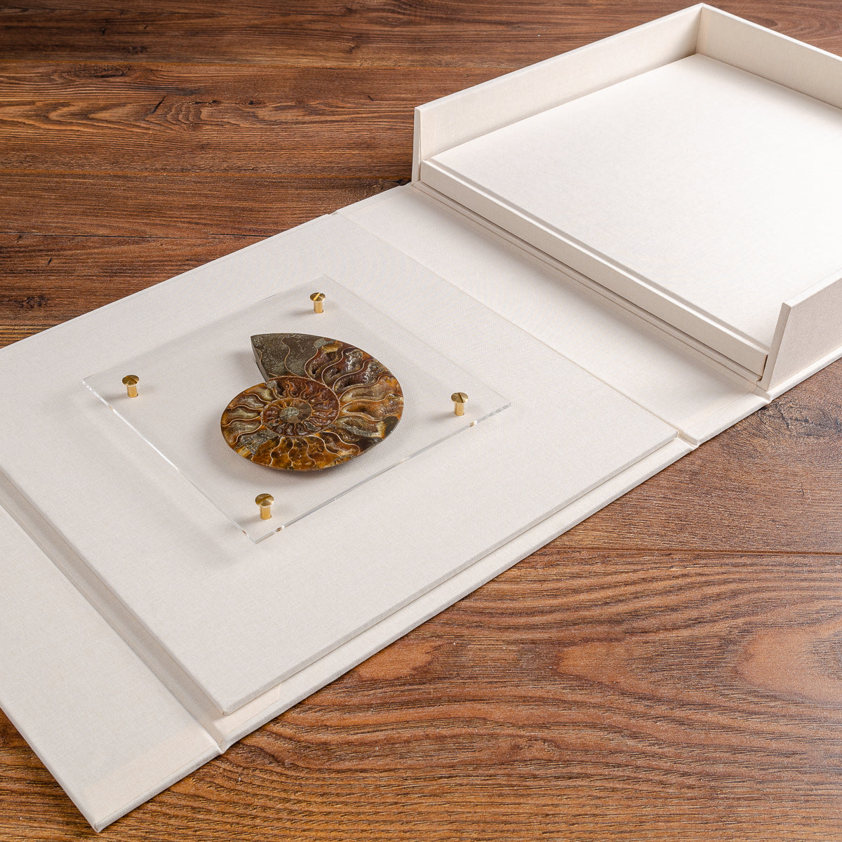 luxury high quality presentation box with ammonite fixed to inner cover and presentation brochure book in tray