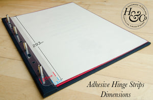 Hinge and File Strips (10 per pack)